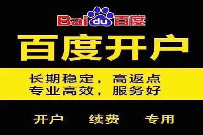 百度广告投放策略优化及成功案例解析